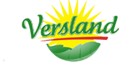 Versland logo.png